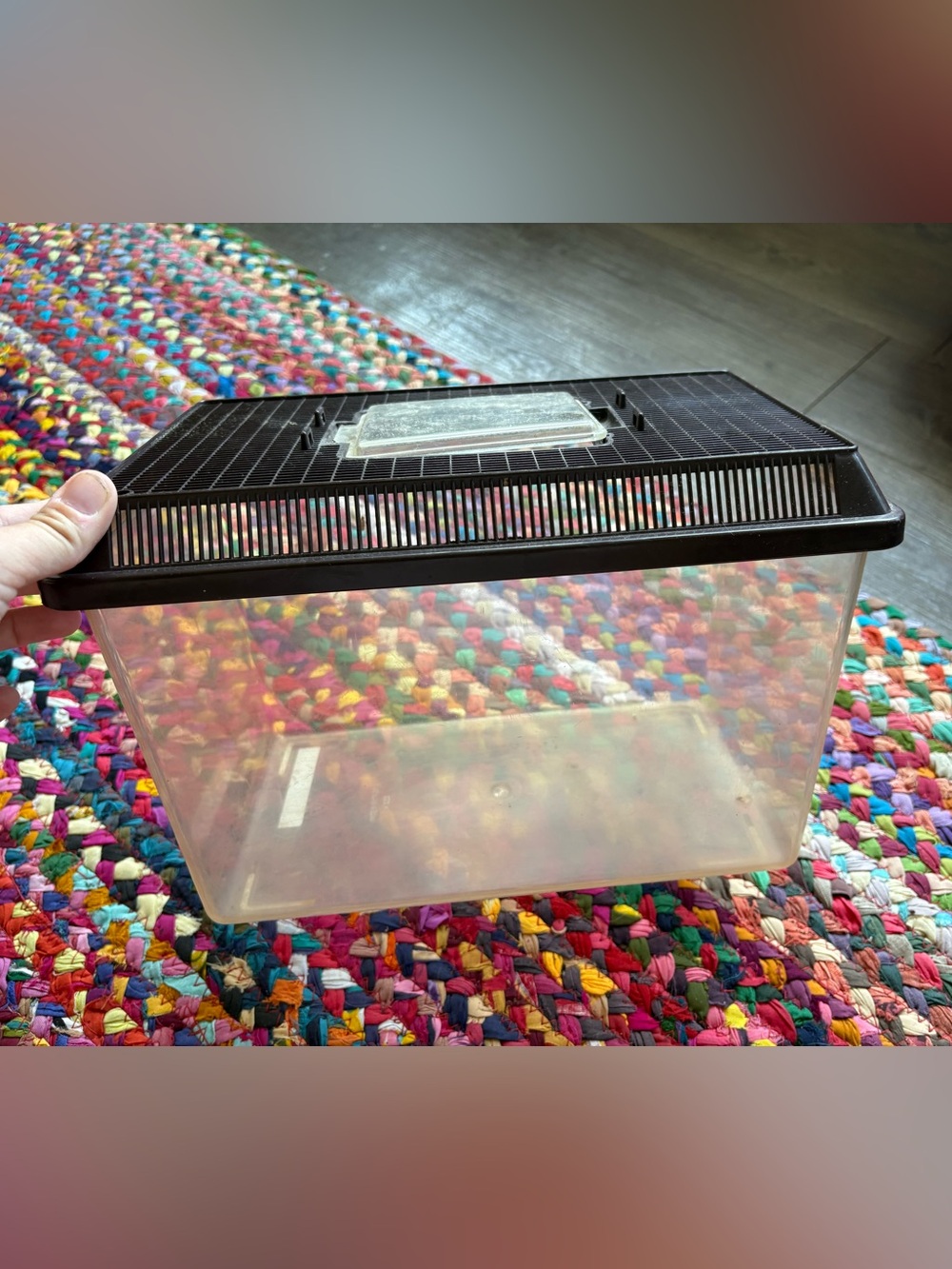 PLASTIC BUG COLLECTION CONTAINER